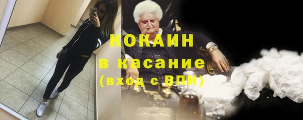 винт Богданович