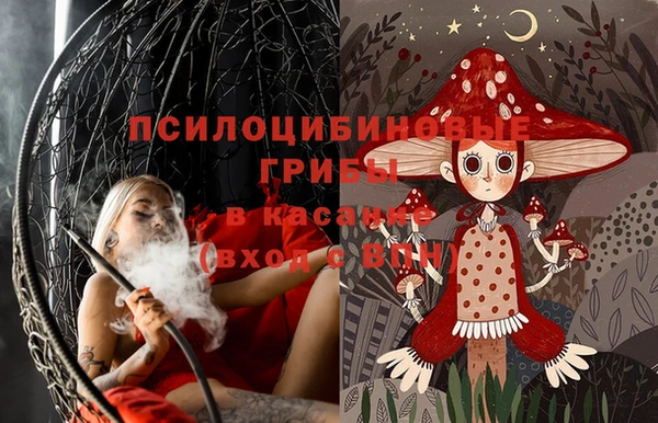 винт Богданович