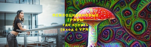 винт Богданович